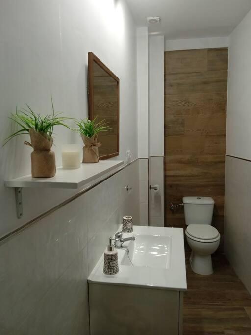 Appartement Vivienda Rural Sentirte 2 Centro De Aracena Extérieur photo